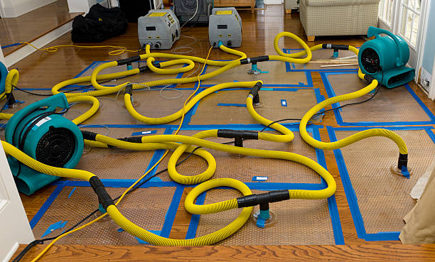 Professional Water Damage Repair technician working in Holly Springs, NC