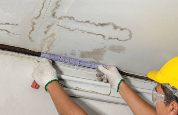 Affordable Water Damage Repair solutions in Holly Springs, NC